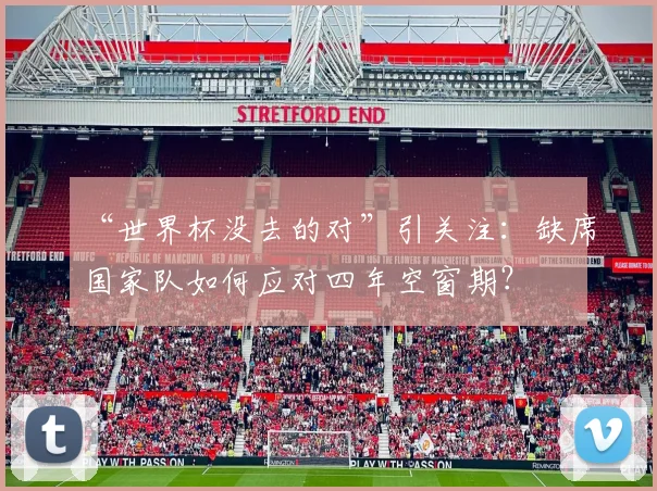 “世界杯没去的对”引关注：缺席国家队如何应对四年空窗期？