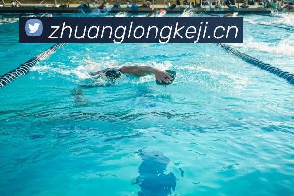 开云最新版本官方下载服务体系